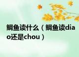 鲷鱼读什么（鲷鱼读diao还是chou）