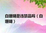 白珊瑚是违禁品吗（白珊瑚）