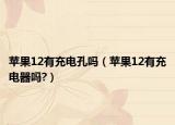 苹果12有充电孔吗（苹果12有充电器吗?）