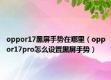 oppor17黑屏手势在哪里（oppor17pro怎么设置黑屏手势）