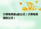计算电荷量q的公式（计算电荷量的公式）