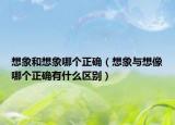想象和想象哪个正确（想象与想像哪个正确有什么区别）