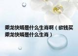 乘龙快婿是什么生肖啊（欲钱买乘龙快婿是什么生肖）