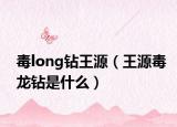 毒long钻王源（王源毒龙钻是什么）