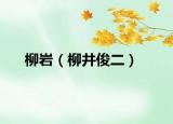 柳岩（柳井俊二）