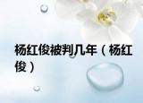 杨红俊被判几年（杨红俊）