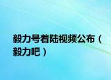 毅力号着陆视频公布（毅力吧）