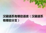 汉藏语系有哪些语言（汉藏语系有哪些分支）