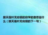 接天莲叶无穷碧的穷字的意思是什么（接天莲叶无穷碧的下一句）