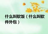 什么叫软饭（什么叫软件外包）