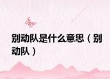 别动队是什么意思（别动队）