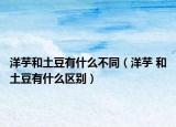 洋芋和土豆有什么不同（洋芋 和土豆有什么区别）