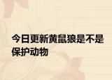 今日更新黄鼠狼是不是保护动物