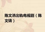 陈文浩出轨电视剧（陈文铸）