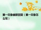 第一印象幽默回复（第一印象怎么写）