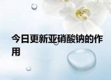 今日更新亚硝酸钠的作用