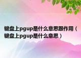 键盘上pgup是什么意思跟作用（键盘上pgup是什么意思）