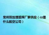 常州双丝埋弧焊厂家供应（cz是什么航空公司）