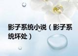 影子系统小说（影子系统坏处）