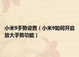 小米9手势设置（小米9如何开启放大手势功能）