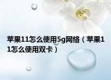 苹果11怎么使用5g网络（苹果11怎么使用双卡）