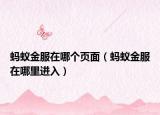 蚂蚁金服在哪个页面（蚂蚁金服在哪里进入）