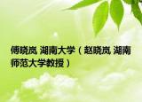 傅晓岚 湖南大学（赵晓岚 湖南师范大学教授）