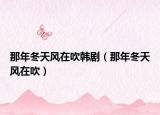 那年冬天风在吹韩剧（那年冬天风在吹）