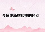 今日更新柑和橘的区别