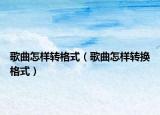 歌曲怎样转格式（歌曲怎样转换格式）