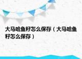 大马哈鱼籽怎么保存（大马哈鱼籽怎么保存）