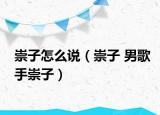 崇子怎么说（崇子 男歌手崇子）