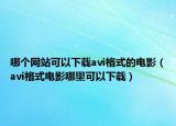 哪个网站可以下载avi格式的电影（avi格式电影哪里可以下载）