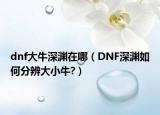 dnf大牛深渊在哪（DNF深渊如何分辨大小牛?）