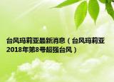台风玛莉亚最新消息（台风玛莉亚 2018年第8号超强台风）
