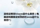 游戏设置里bloom是什么意思（电脑游戏图像设定里的Bloom是什么意思?）