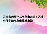 天津市有几个花鸟鱼虫市场（天津有几个花鸟鱼虫批发市场）