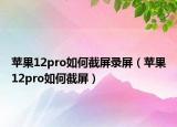 苹果12pro如何截屏录屏（苹果12pro如何截屏）