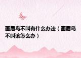 画眉鸟不叫有什么办法（画眉鸟不叫该怎么办）