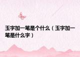 玉字加一笔是个什么（玉字加一笔是什么字）