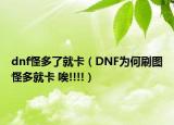 dnf怪多了就卡（DNF为何刷图怪多就卡 唉!!!!）