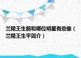 兰陵王生前和哪位明星有些像（兰陵王生平简介）