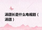 汤团长是什么电视剧（汤团）