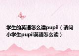 学生的英语怎么读pupil（请问小学生pupil英语怎么读）