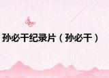 孙必干纪录片（孙必干）