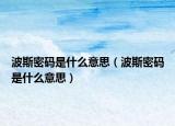 波斯密码是什么意思（波斯密码是什么意思）