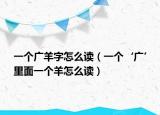 一个广羊字怎么读（一个‘广’里面一个羊怎么读）