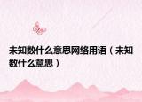 未知数什么意思网络用语（未知数什么意思）