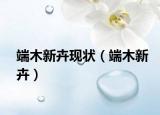端木新卉现状（端木新卉）