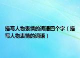 描写人物表情的词语四个字（描写人物表情的词语）